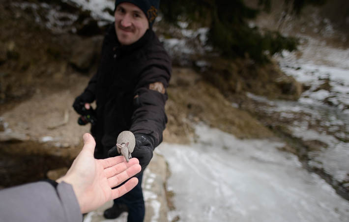 Mit Alex und dem Gürteltier im Harz