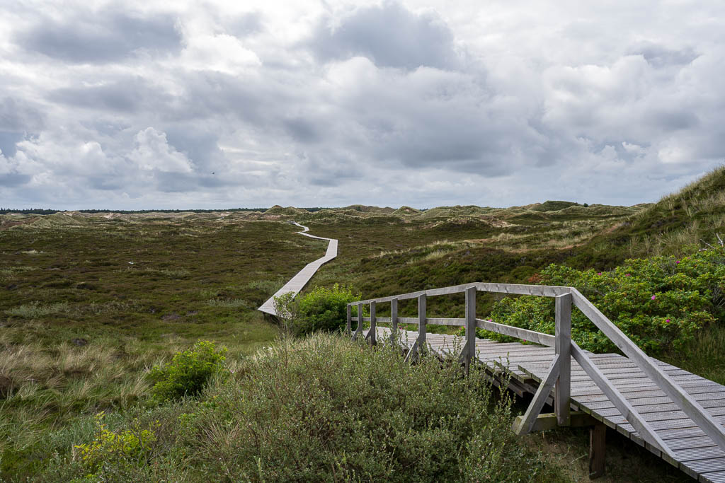 Der Bohlenweg zum Leit- und Quermarkenfeuer Norddorf