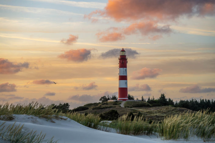 Die besten Fotospots auf Amrum – ein ehrlicher Streifzug für Fotografen
