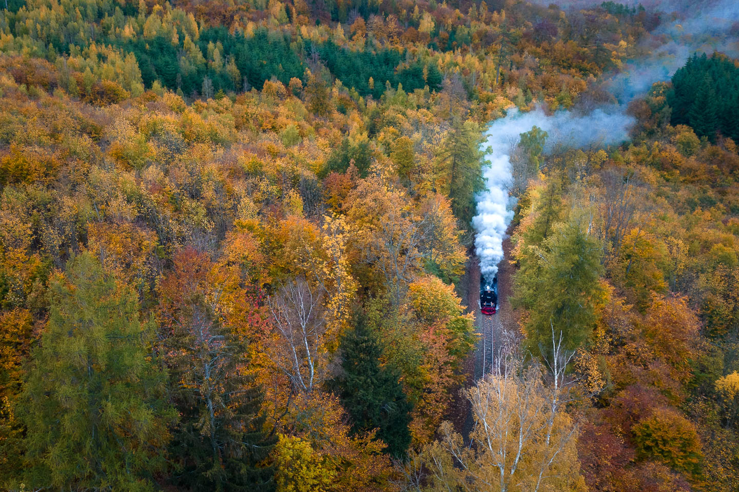 Drohnenaufnahme der Brockenbahn im Herbst