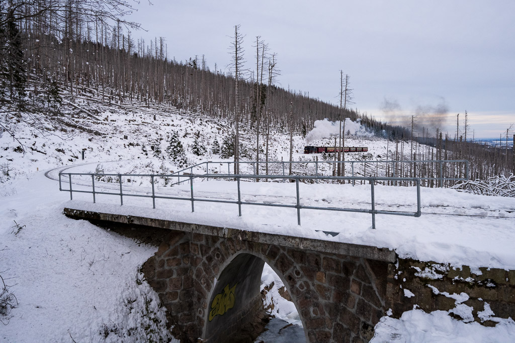 Die Brockenbahn fährt auf die Brücke am Eckerlochstieg zu