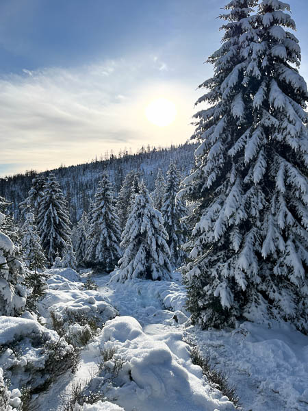 Winterlandschaft am Eckerlochstieg auf dem Weg zum Brocken