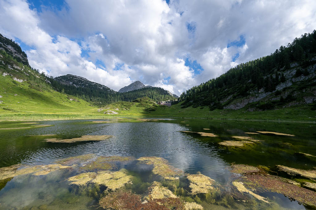 Fotomotiv am Funtensee mit sumpfigem Vordergrund