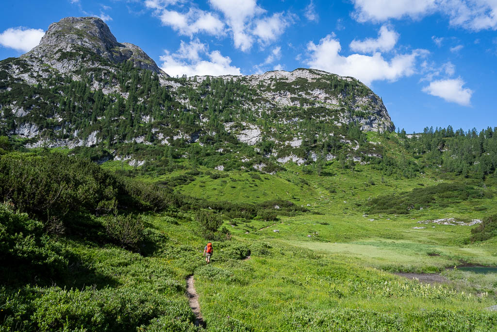 Wanderweg vom Kärlingerhaus in Richtung Riemannhaus