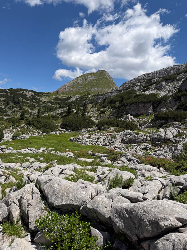 Rückblick auf den Viehkogel nach dem Umweg