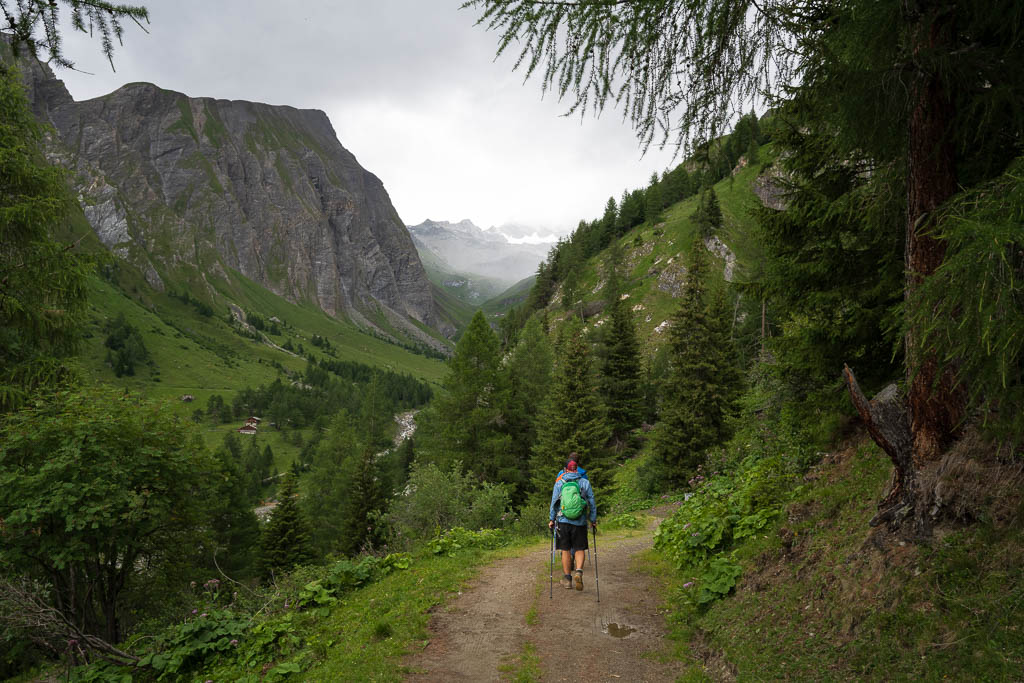 Wanderer auf dem Abstieg durch den Bergwald