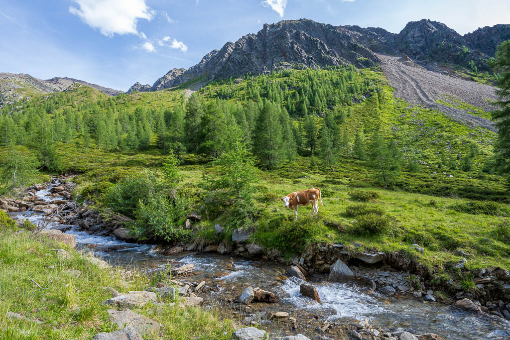 Grüne Almwiesen und Berglandschaft auf dem Abstieg zur Oberstalleralm.