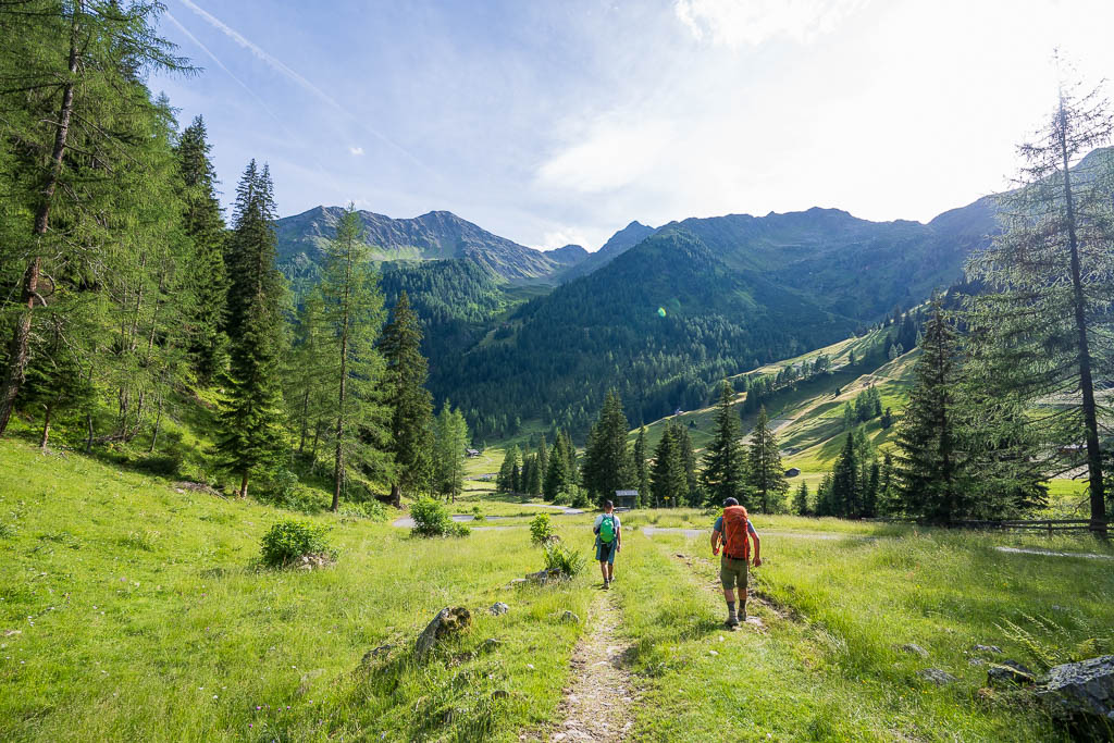 Wanderweg von der Oberstalleralm hinunter zur Unterstalleralm.