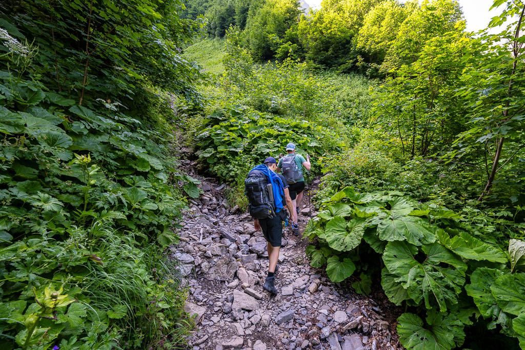 Aufstieg zur Kemptner Hütte im Wald