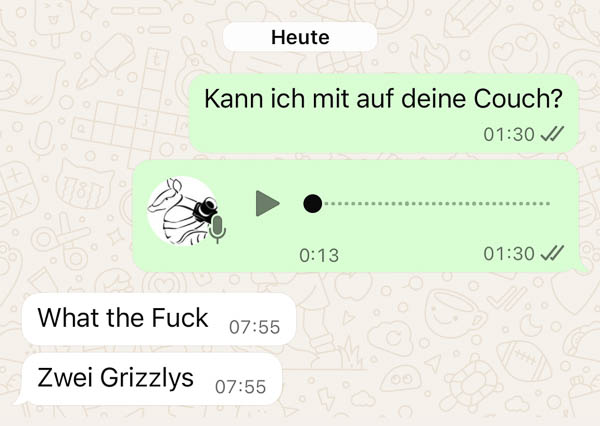 WhatsApp Screenshot wegen scharchendem Grizzly