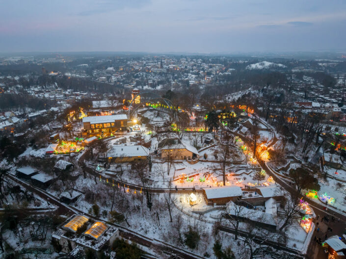 Magische Lichterwelten im Zoo von Halle