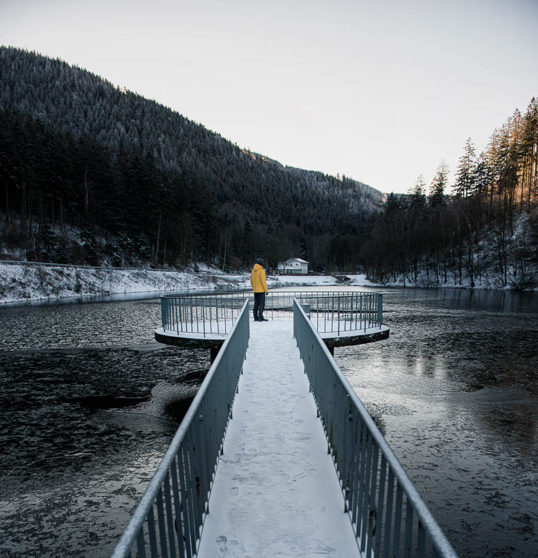 Der Herzberger Teich im Harz im Schnee