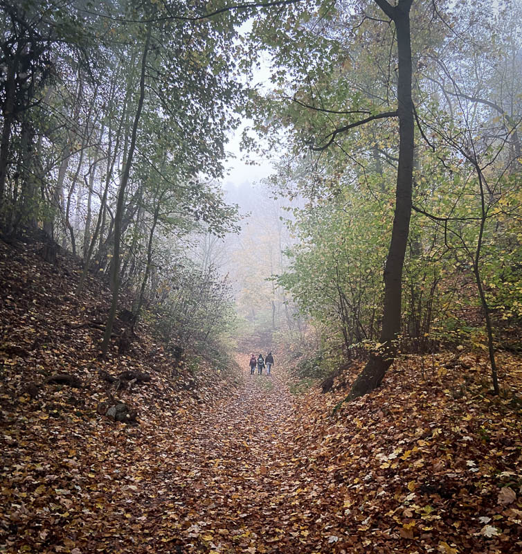 Wanderweg in den Klusbergen bei Halberstadt