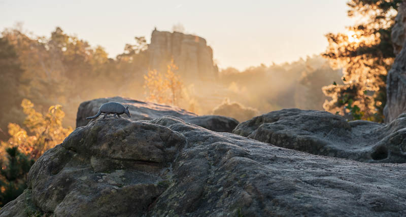 Blick vom Fünffingerfelsen zum Klusfelsen im Harz