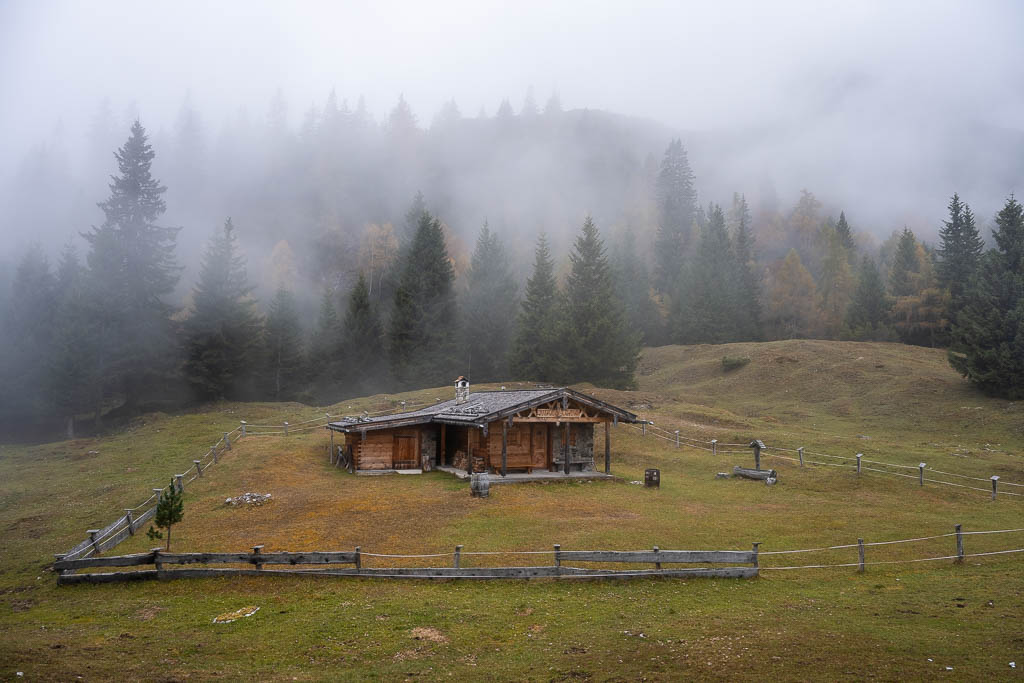 Eine Holzhütte hinter der Rauthhütte im Nebel