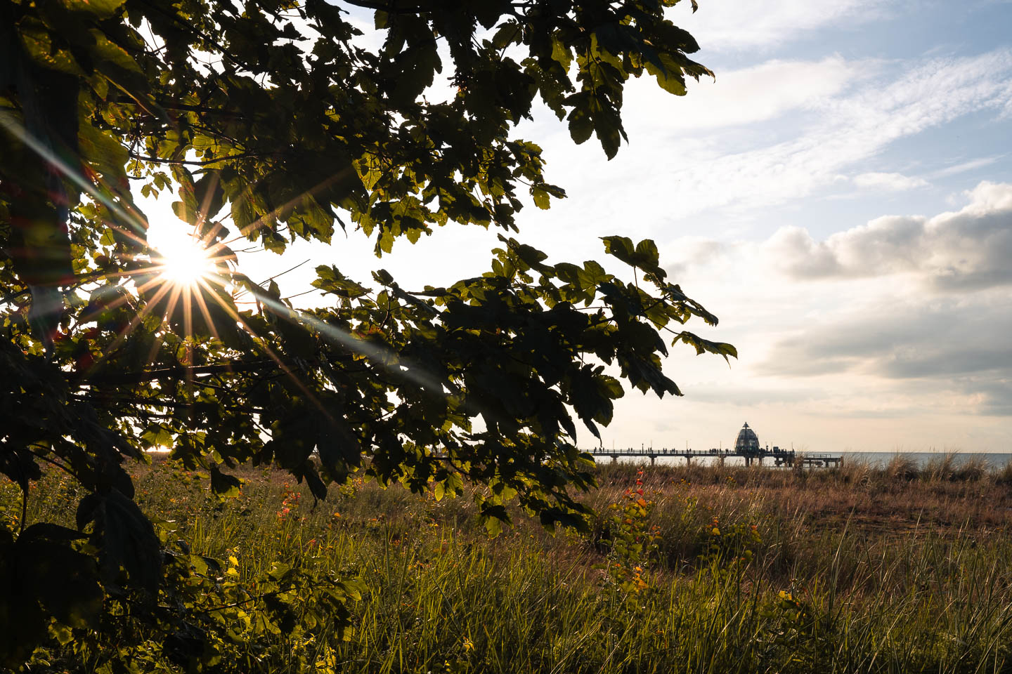 Sonnenstern vom NIKKOR Z 35mm f/1.8 S