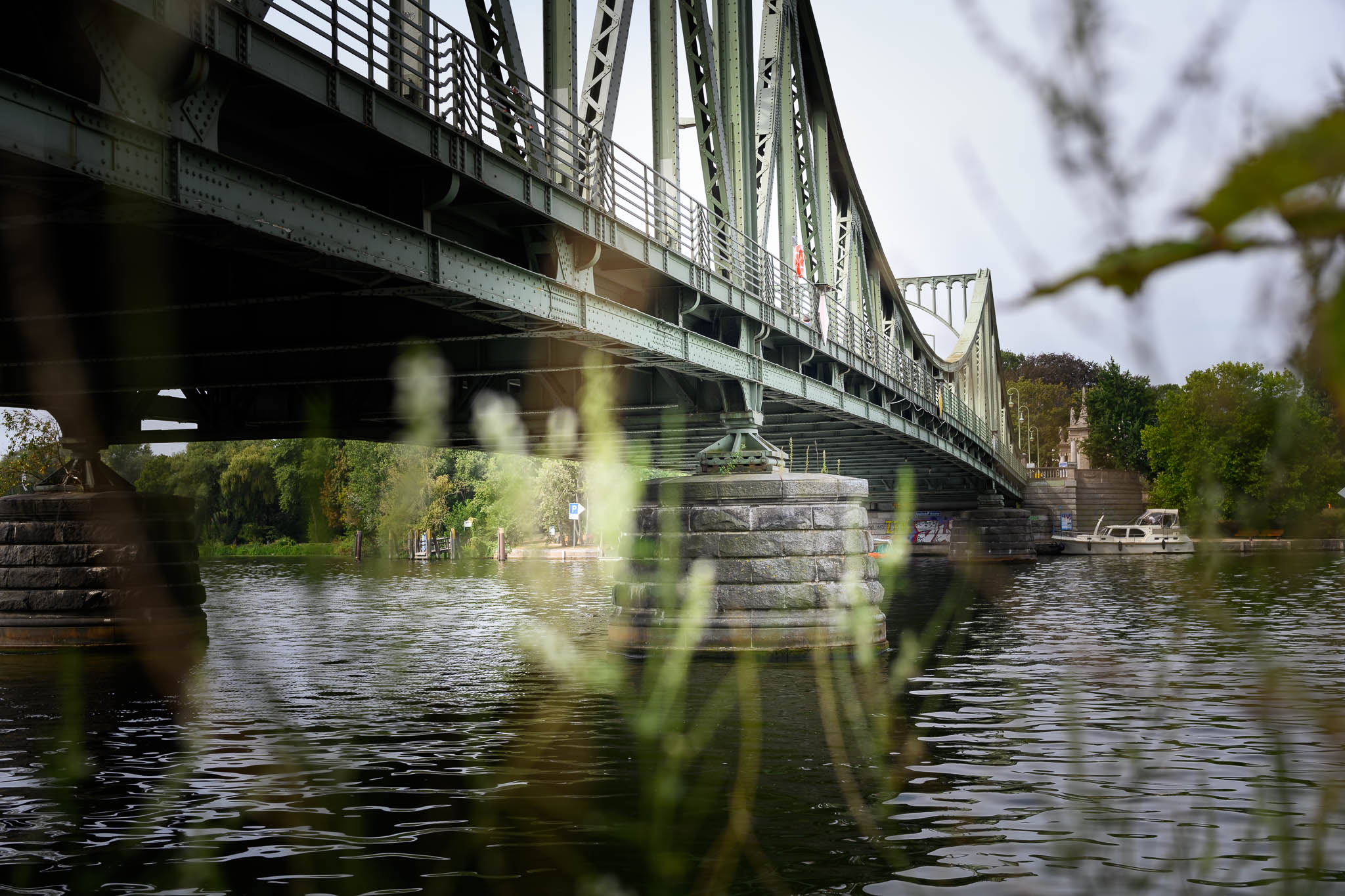 Die Glienicker Brücke in Potsdam mit Grashalmen im Vordergrund