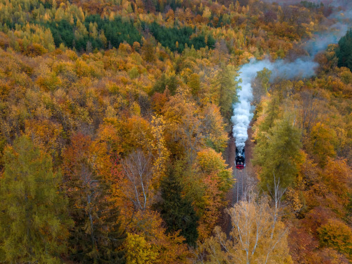 Die Brockenbahn im Herbstwald bei Wernigerode