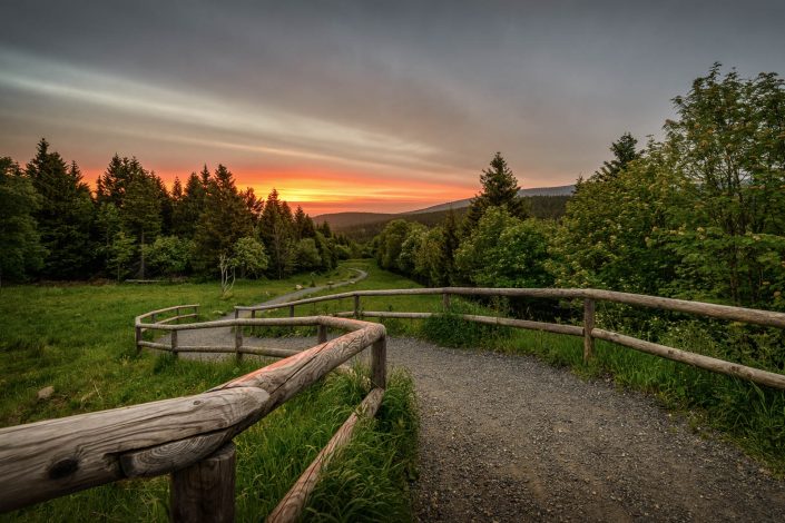 Sonnenaufgang am Torfhaus im Harz