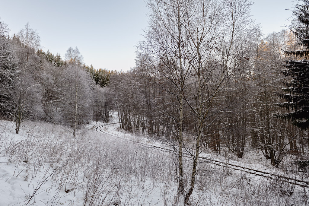 Die Gleise der Selketalbahn in einem Waldstück kurz vor Mägdesprung