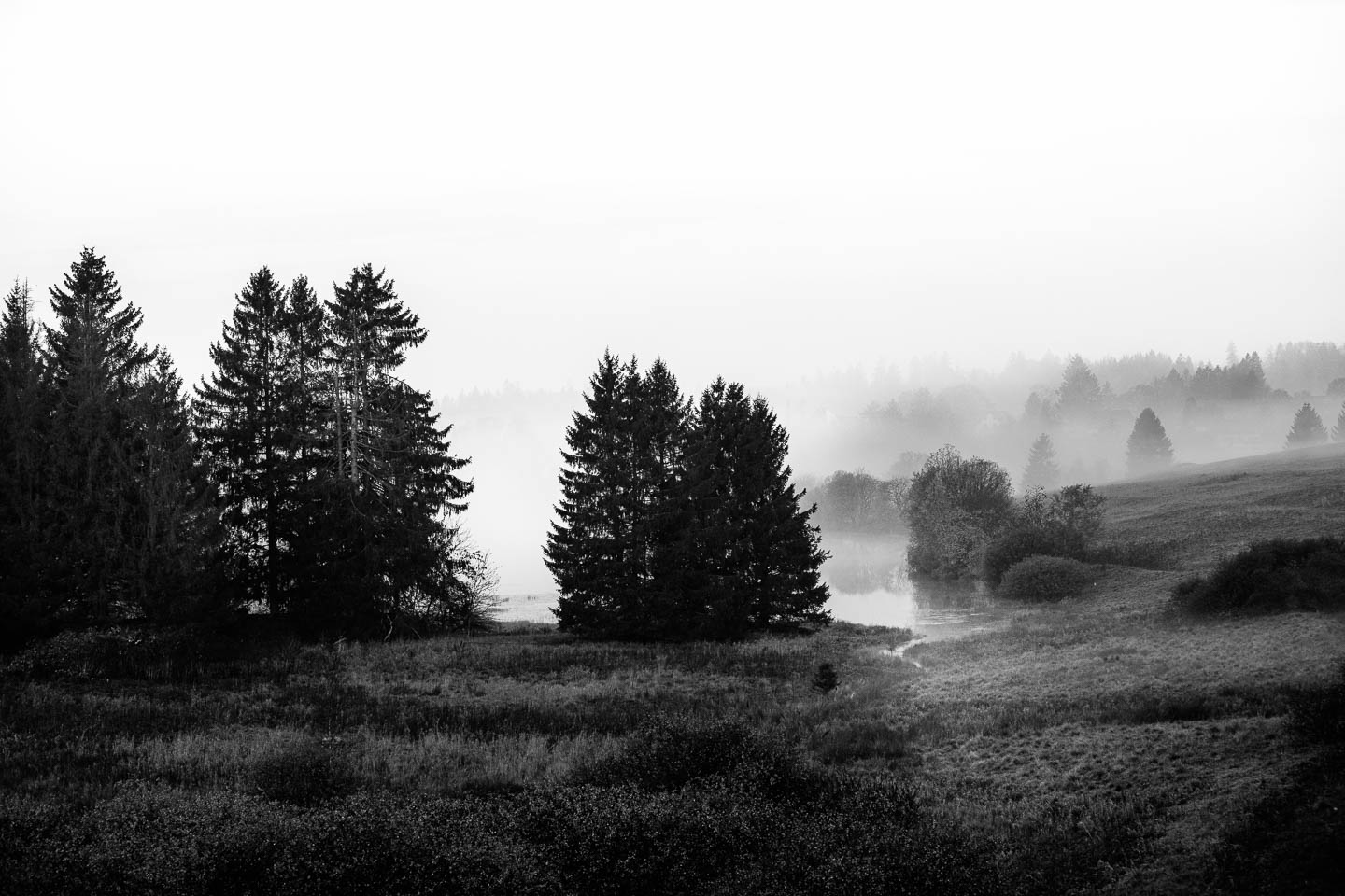 Schwarz-Weiß-Aufnahme mit Nebel über den Buntenbocker Teichen